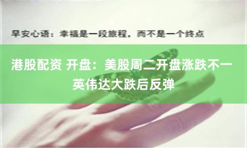港股配资 开盘：美股周二开盘涨跌不一 英伟达大跌后反弹