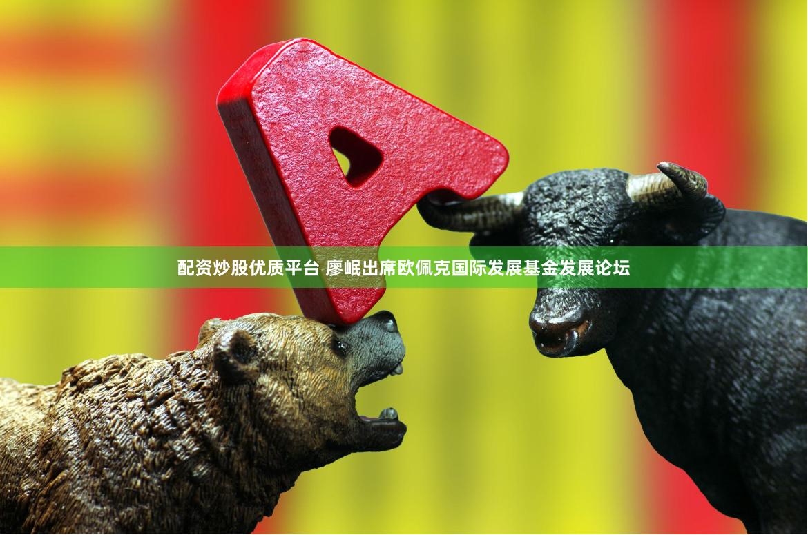 配资炒股优质平台 廖岷出席欧佩克国际发展基金发展论坛