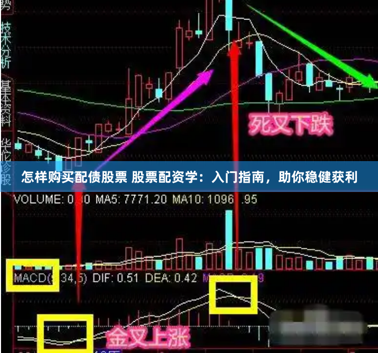 怎样购买配债股票 股票配资学：入门指南，助你稳健获利